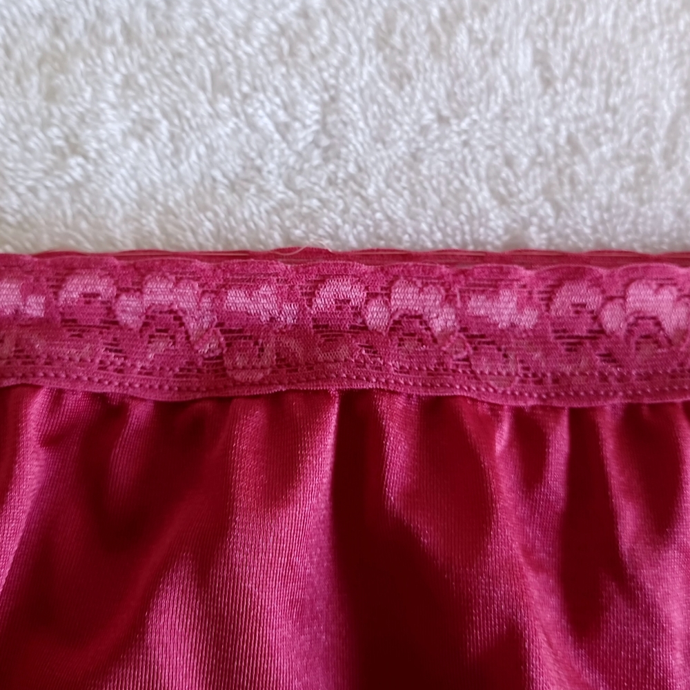 Vintage Hanes Nylon Panties, Size XL - Picture 5 of 14
